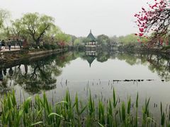 -无锡蠡湖国家湿地公园-蠡园