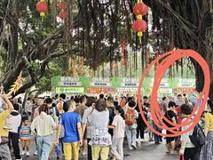 -荔湾湖公园