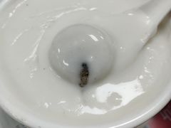 杏仁糊汤圆-仁信双皮奶(东川路店)