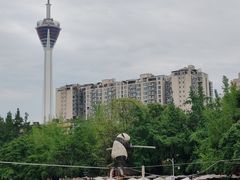 -成都市活水公园
