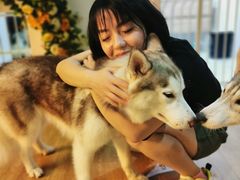 -Husky Go! 哈士奇体验馆·宠物咖啡厅狗咖