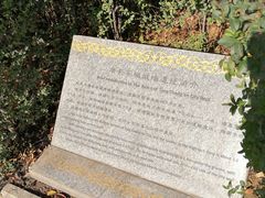 -唐城墙遗址公园