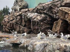 -珠海长隆海洋王国