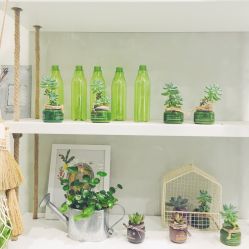 点击看大图 -悦诗风吟innisfree