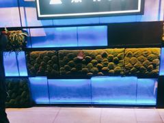 -音乐派KTV(银泰城店)