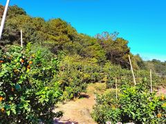 -青龙山国家森林公园