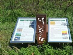 -翠湖国家城市湿地公园