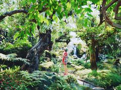 -Chom Cafe and Restaurant