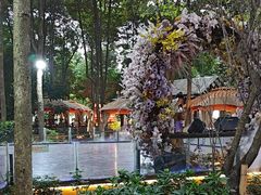 -二荆条·蜀鲜汇城市森林火锅