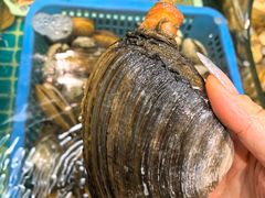 -震海贝烤贝·民俗特色店(延吉总店)