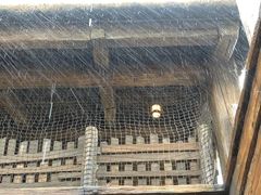 -海底巡游艇:尼莫和好友的海洋世界