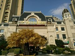 -碧桂园凤凰城酒店(南京店)