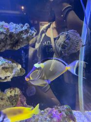 -Zoolung Zoolung动物主题公园(海信广场店)