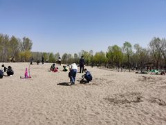 -东郊湿地公园