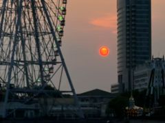 -蠡湖大桥公园