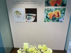 -大连自然博物馆·地球展厅