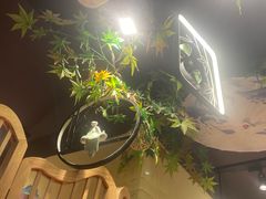 -望庐说·本地菜馆