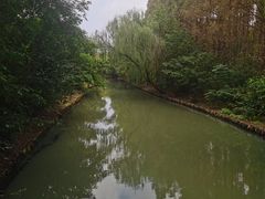 -同里国家湿地公园