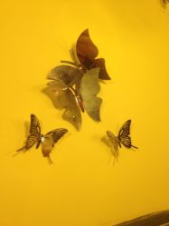 picture-克丽缇娜