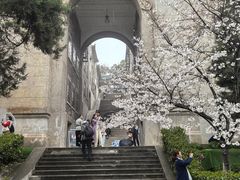 -武汉大学-樱园