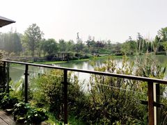 -桤木河湿地公园