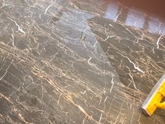 -宠爱国际动物医院·疑难骨科·心肾内科·皮肤科(太阳宫店)