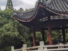 -汇龙潭