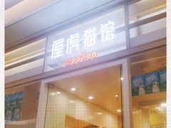 -屋虎猫馆(宝安大仟里店)
