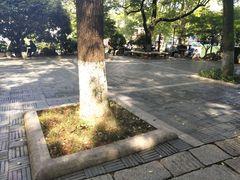 -白沙古井