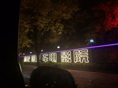 -枫花园汽车电影院(朝阳公园店)