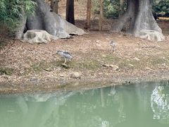 -宁波野生动物园