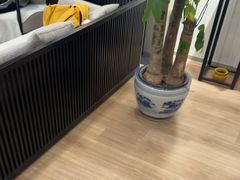 -席仁堂推拿按摩脊柱调理(世纪科贸大厦店)