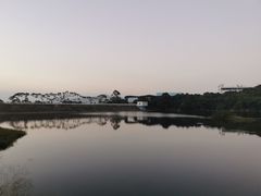 -东莞市大岭山森林公园
