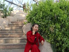 -北京植物园-展览温室