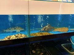 水产区-渔家颂歌渔家味道(青石路店)