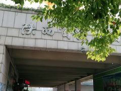 -陕西自然博物馆