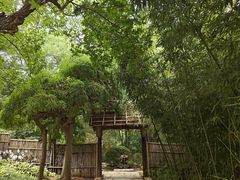 -大连植物园