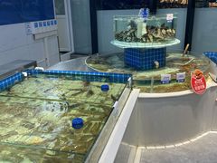 -大锅强·蒸海鲜青岛菜(吾悦广场店)