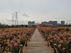 -那考河湿地公园