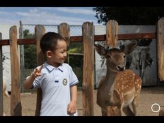 -童梦童享幼儿园
