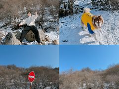 -太子岭滑雪场