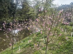 -韶关经律论国际酒店温泉