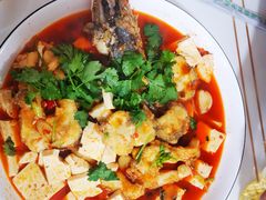 -煲来饱去冷水鱼