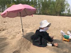 -东郊湿地公园