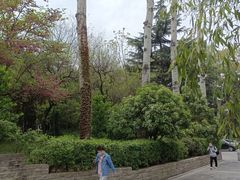 -西安市长乐公园