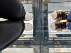 -上海环球金融中心骑迹50年环球之旅