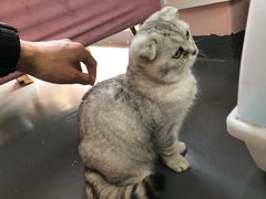 -VOYAGE COFFEE(北锣鼓巷店)