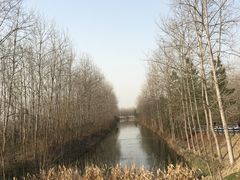 -合肥滨湖国家森林公园