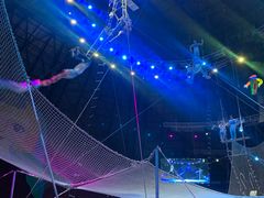 -俄罗斯国家大马戏团