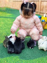 -萌宠亲子动物乐园(槐房万达店)